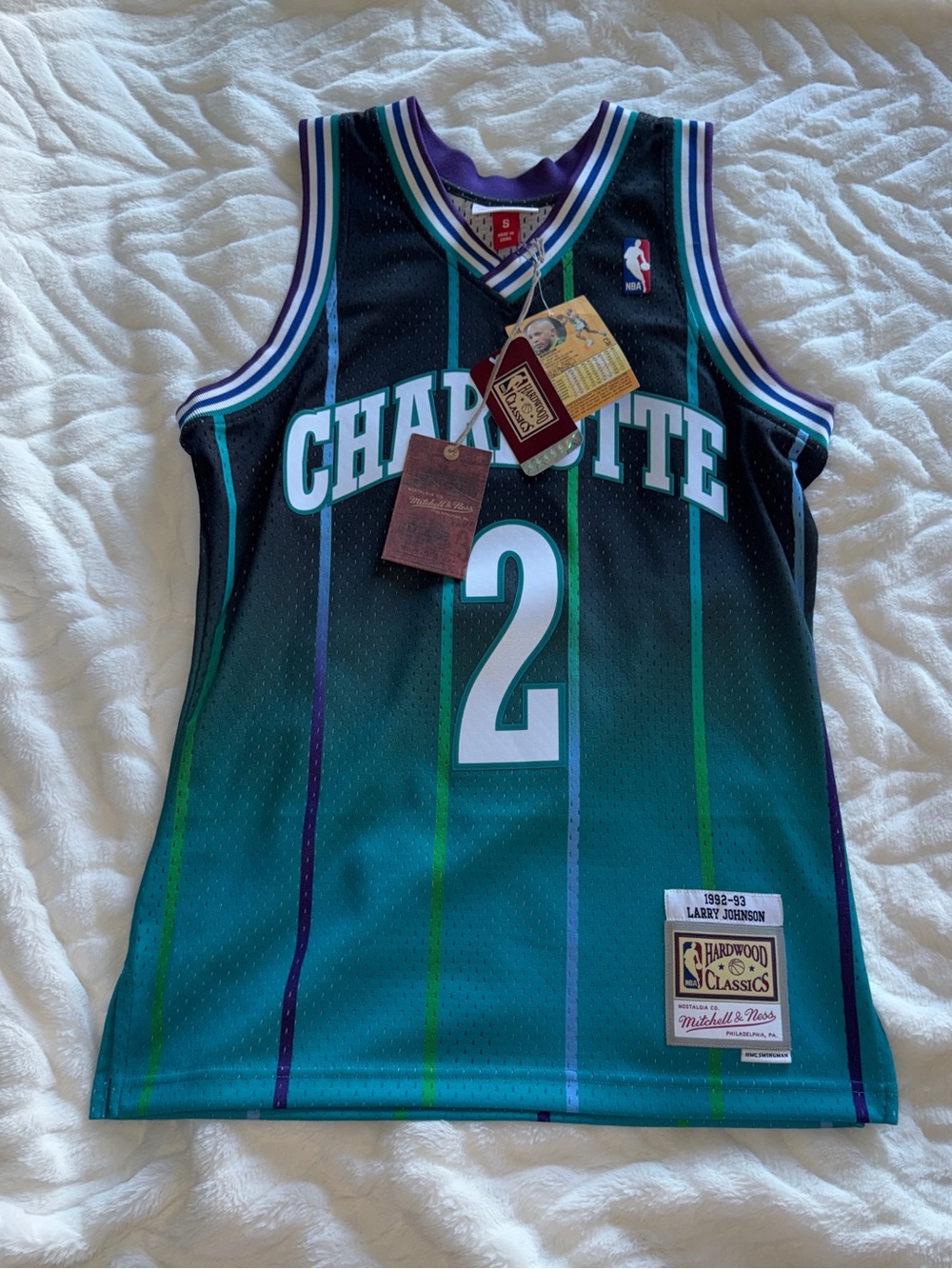 Mitchell & Ness Teal Charlotte Hardwood Classics Jersey - Larry Johnson